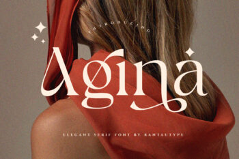 Agina Elegant Classy Serif Font