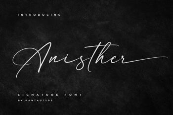 Anisther Elegant Signature Font