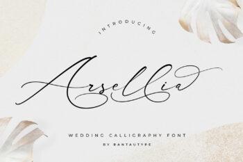 Arsellia Wedding Calligraphy Font