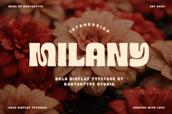 Milany Bold Display Typeface