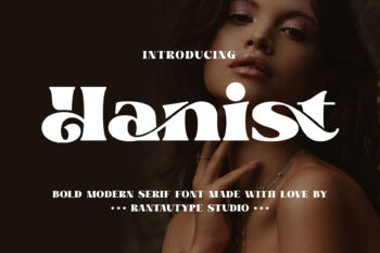 Hanist Bold Serif Font