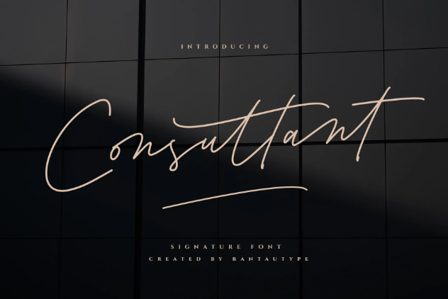 21. Consultant