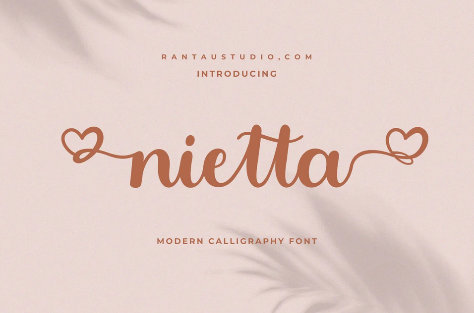 3. Nietta Modern Calligraphy Font