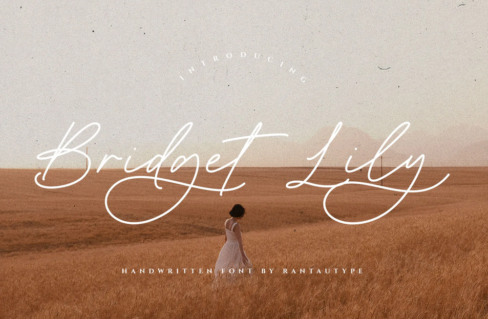 6. Bridget Lily Business Handwritten Font