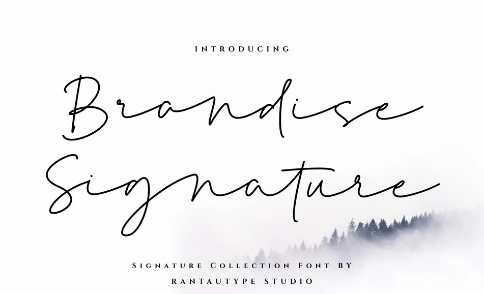 15. Brandise Signature Font