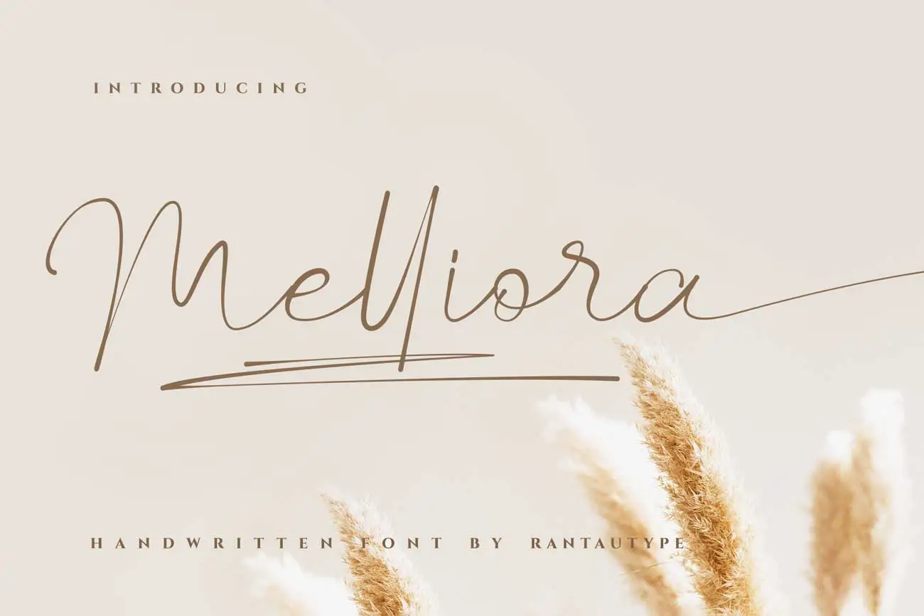 16. Melliora
