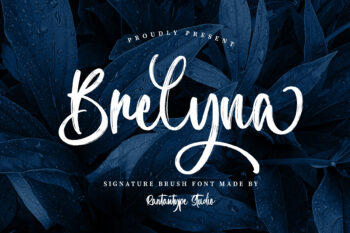 Brelyna Signature Brush Font