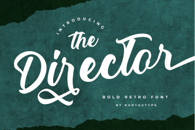 28. The Director