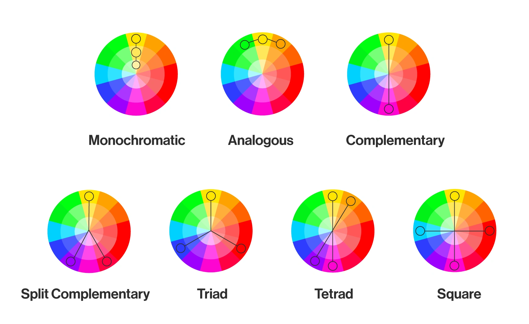 3. Color