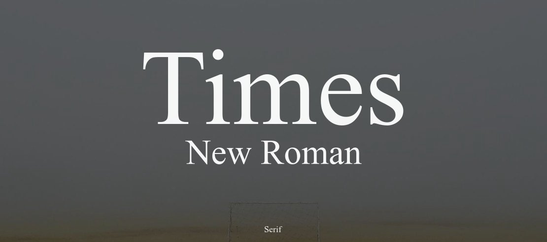 4. Times New Roman