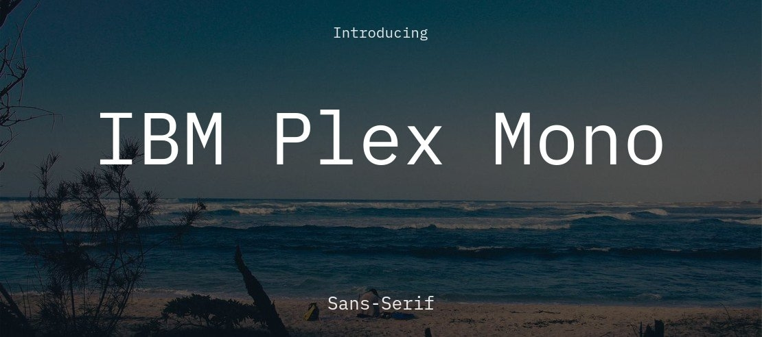 5. IBM Plex Mono