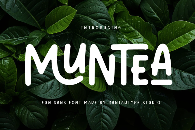 2. Muntea