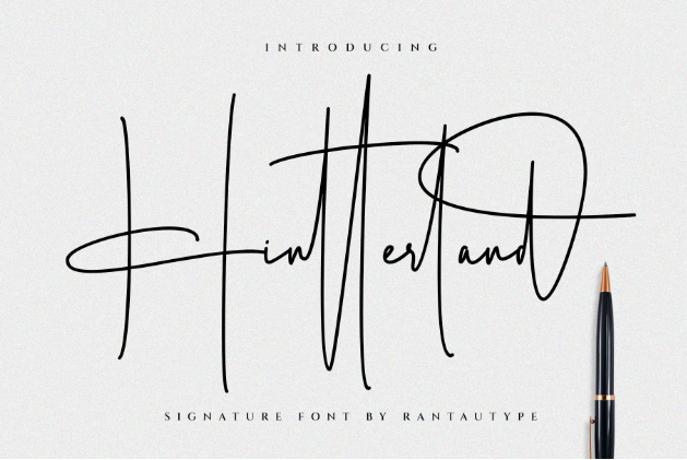 2. Hintterland