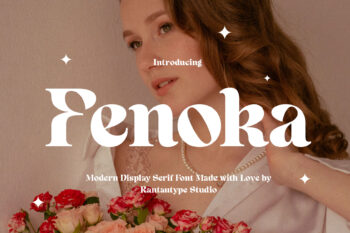 Fenoka Modern Display Serif Font