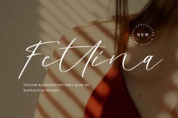 Fettina Stylish Handwritten Font