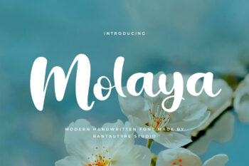 Molaya Modern Handwritten Font