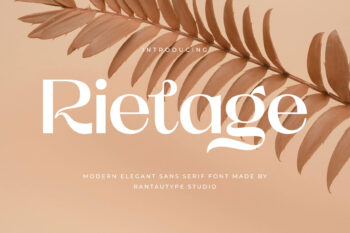 Rietage Modern Elegant Sans Serif Font