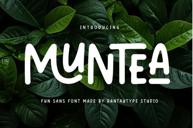 2. Muntea