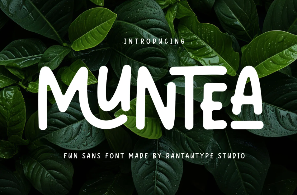 10. Muntea Fun Sans Font