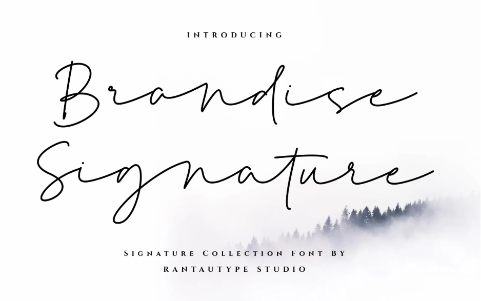 16. Bettasy Signature Font