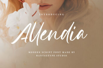 Allendia Modern Script Font