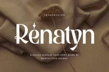 Renatyn Elegant Display Sans Font