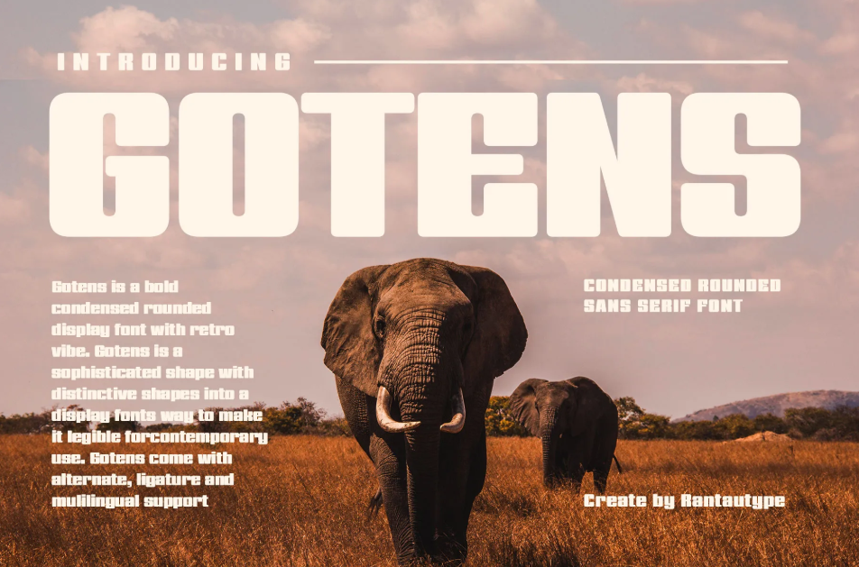20. Gotens Bold Condensed Display Font