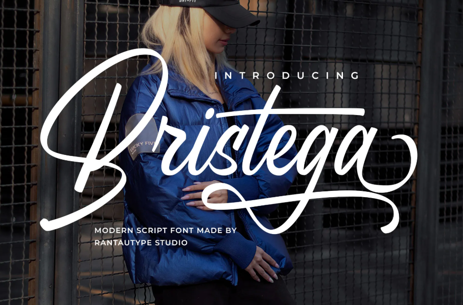 4. Bristega Modern Script Font