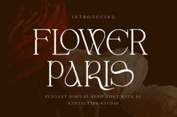 Flower Paris Elegant Display Font