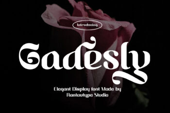 Gadesly Elegant Display Font
