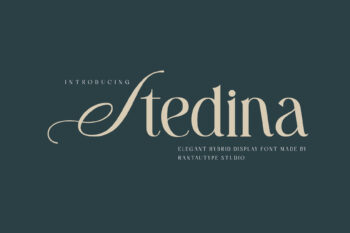 Stedina Elegant Hybrid Font