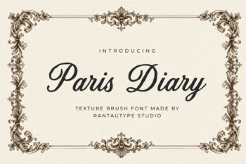 Paris Diary Texture Brush Font