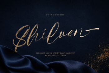 Shilven Elegant Brush Font