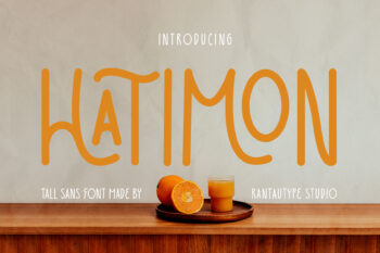 Hatimon Tall Sans Font