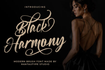 Black Harmony Modern Brush Script