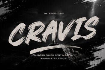 Cravis Modern Brush Font