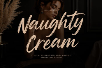 Naughty Cream Elegant Brush Font