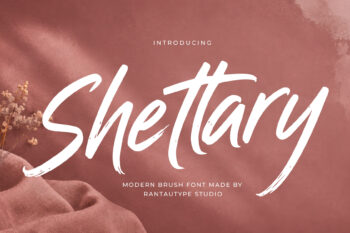 Shettary Modern Brush Font