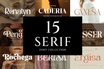 Serif Font Bundle Vol. 1