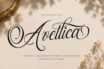Avellica Elegant Calligraphic Script Font