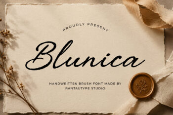 Blunica Handwritten Brush Font