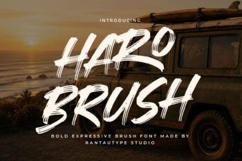 Haro Brush Bold Expressive Brush Font