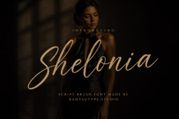 Shelonia Script Brush Font