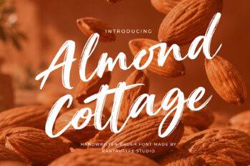 Almond Cottage Handwritten Brush Font