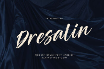 Dresalin Modern Brush Font