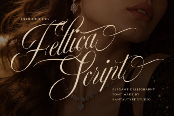 Fellica Script Elegant Calligraphy Font