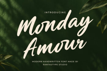 Monday Amour Modern Handwritten Font