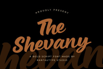 Shevany Bold Script Font